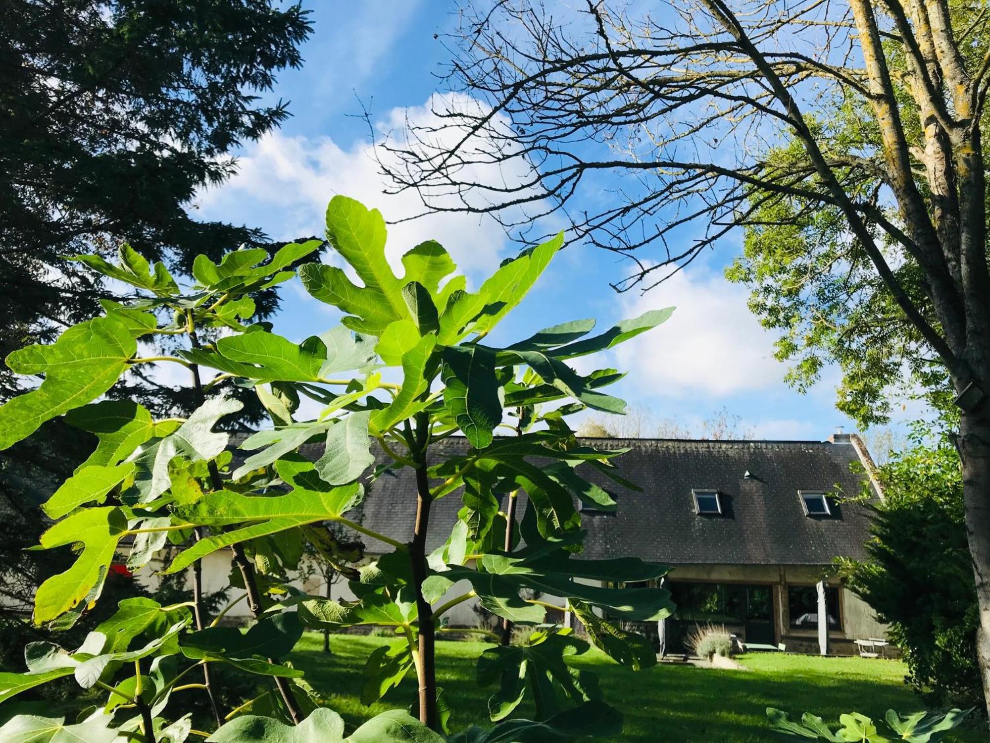 Rouge Cottage Gite 4 Etoiles Billard Gueutteville-les-Gres Exteriör bild